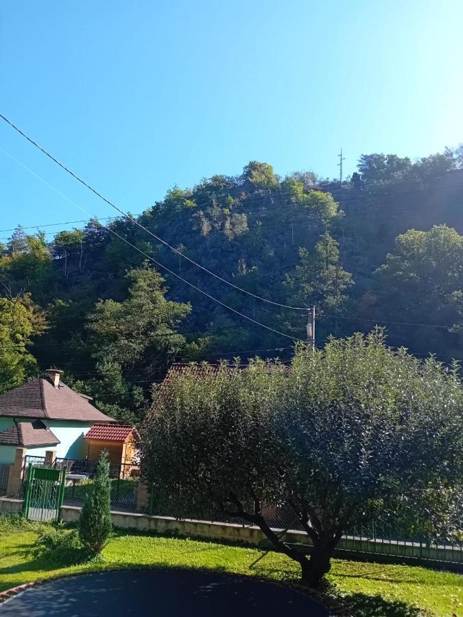 Rekreacni Chata Kocaba Stechovice  Exterior foto