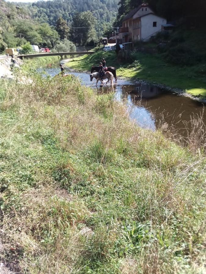 Rekreacni Chata Kocaba Stechovice  Exterior foto