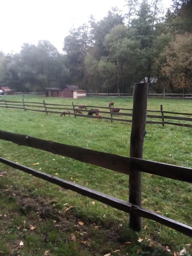 Rekreacni Chata Kocaba Stechovice  Exterior foto